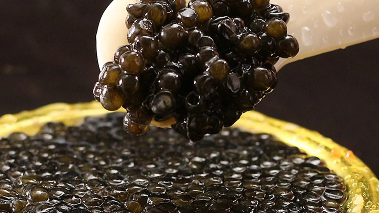 The Taste of Luxury: Why Is Caviar So Expensive?