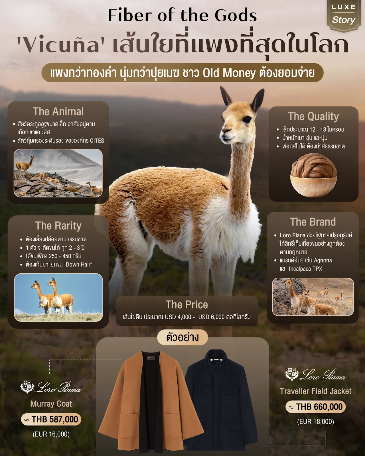 Fiber of the Gods: 'Vicuña' The World's Most Expensive